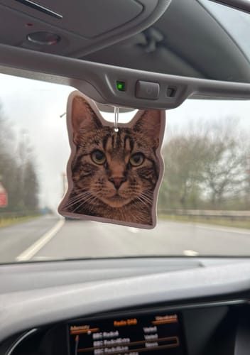 Customer photo: custom cat artwork air freshener in a car