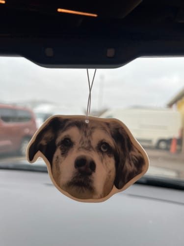 Customer photo: dog photo air freshener hanging in a car
