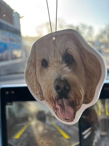 Customer photo: personalized doodle dog air freshener hanging from a rearview mirror