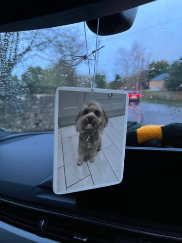 Customer photo: shih-tzu photo air freshener on a rearview mirror
